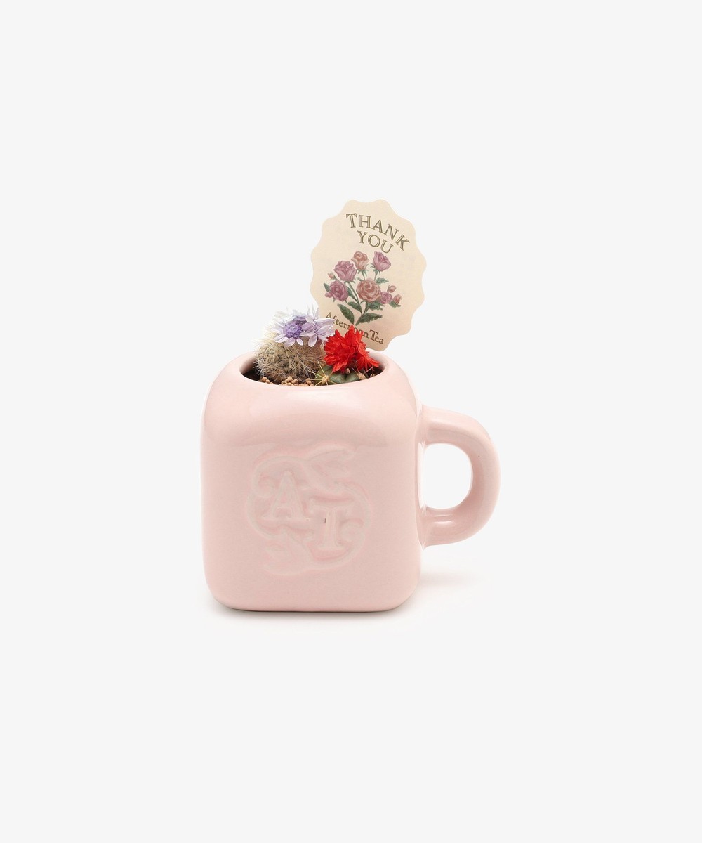 グリーン・観葉植物 ミニマグカップ花咲きサボテン/母の日