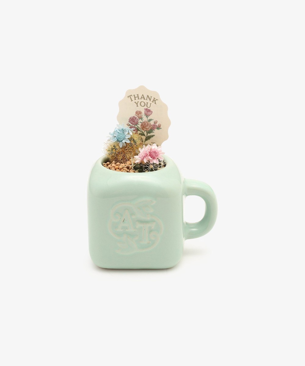 グリーン・観葉植物 ミニマグカップ花咲きサボテン/母の日