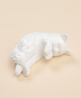 Cat S Naptime スマートフォンスタンド スマホケース アクセサリー アフタヌーンティー リビング公式通販サイト