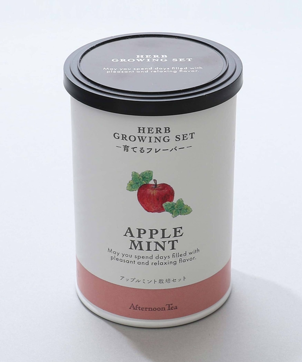 育てるフレーバー ハーブ栽培セット アップルミント インテリア雑貨 アフタヌーンティー公式通販サイト