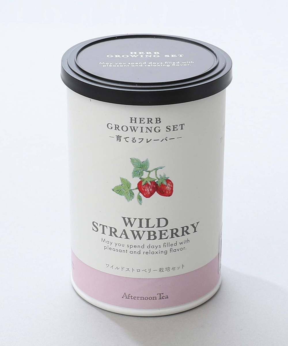育てるフレーバー ハーブ栽培セット ワイルドストロベリー インテリア雑貨 アフタヌーンティー リビング公式通販サイト
