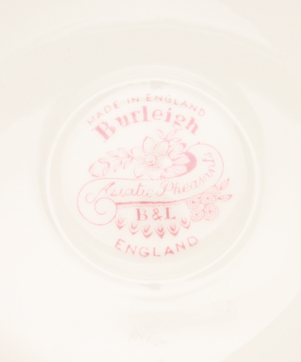 カップ&ソーサー/ピンクアジアティックフェザンツ/Burleigh