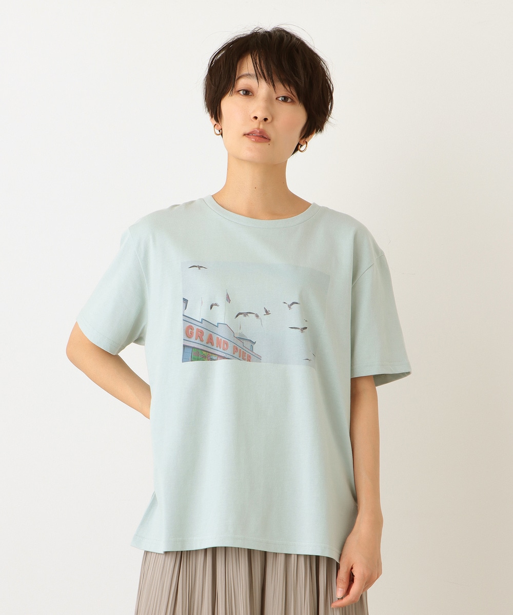 Tシャツ・カットソー フォトプリントワイドTシャツ/カモメ/神ノ川智早
