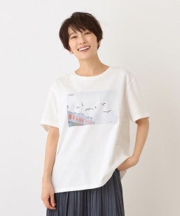 フォトプリントワイドTシャツ/カモメ/神ノ川智早