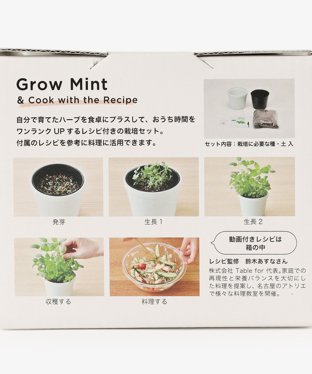 聖新陶芸 レシピ付き栽培セット ｒｅｃｉｐｅ