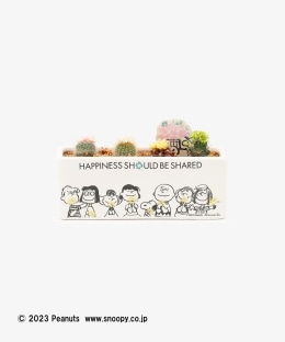 花咲きサボテン/PEANUTS
