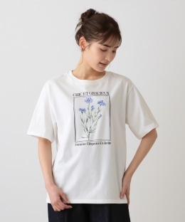 超格安一点 - cyan tokyo Tシャツ カットソー 新品 レディース