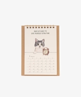 卓上カレンダー/Cat's NapTime