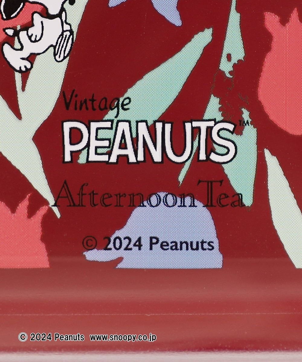 抗菌4点ロック式ランチボックス/PEANUTS | アフタヌーンティー公式通販