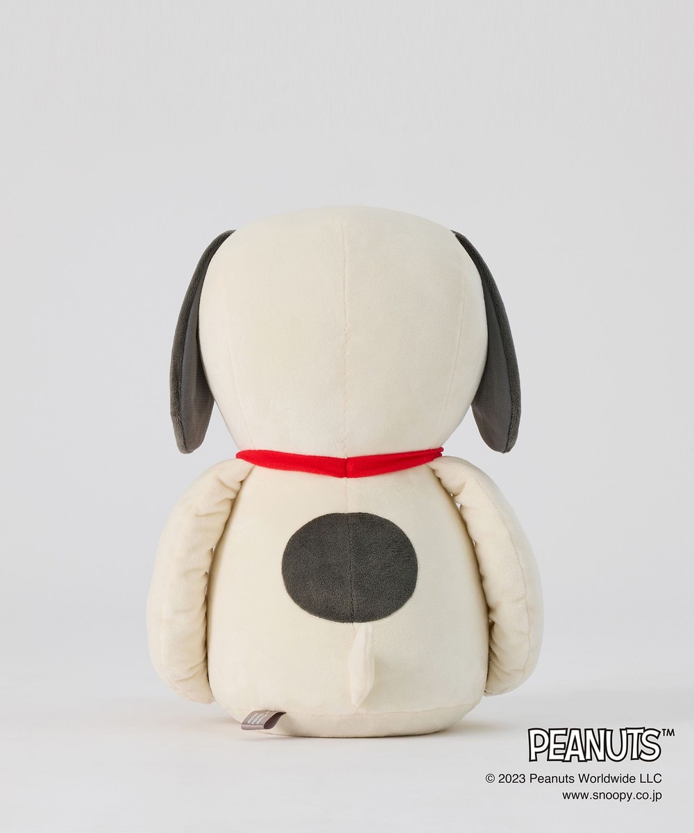 スヌーピー＆メディシンボール 楽天市場】ミズノ公式 【PEANUTS】スヌーピーメディシンボール