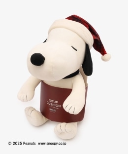シットアップクッション/PEANUTS/Afternoon Tea Original Tartans