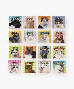 ランダムキラキラシール 2枚入り/Cat's ISSUE