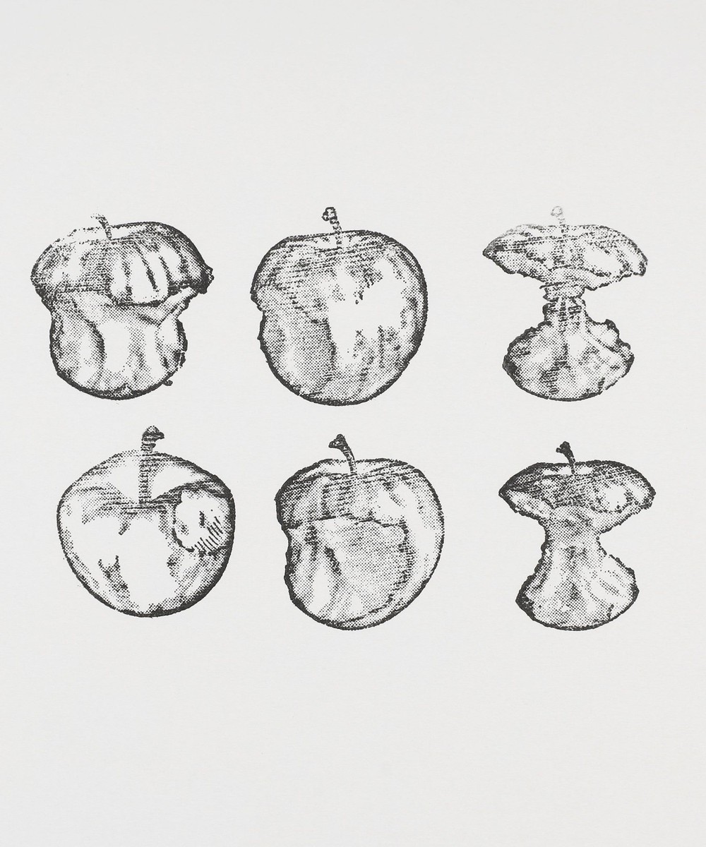 オンラインストア限定】リンゴスタンプセット/gobe stamp