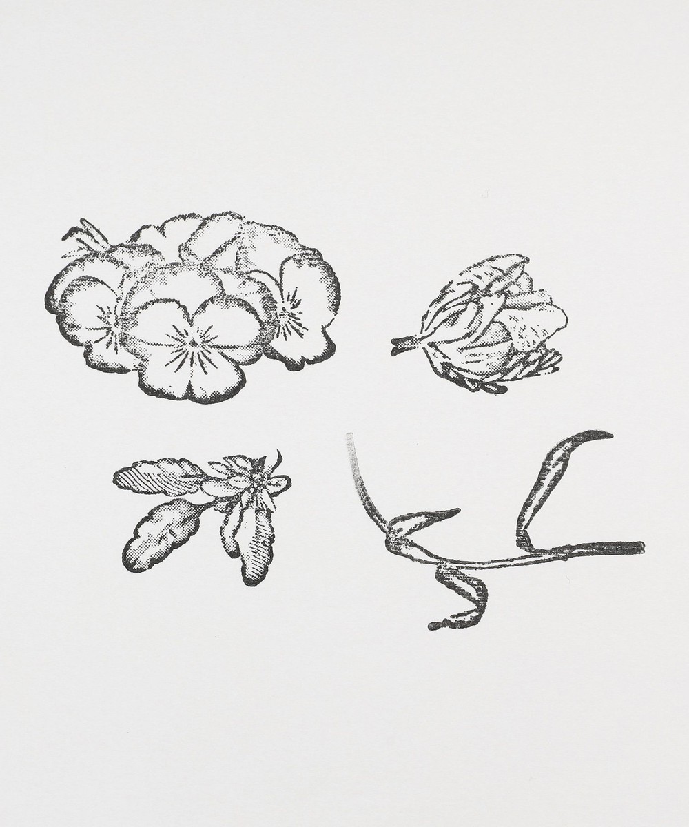 フラワースタンプセット/gobe stamp | アフタヌーンティー公式通販サイト