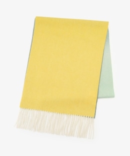 グラデーションマフラー