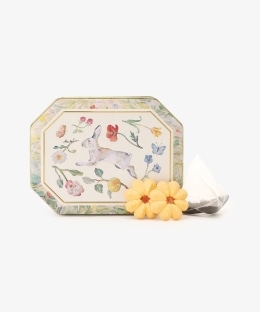 ティータイムセット/庄島歩音