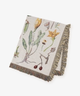 マルチファブリック/庄島歩音