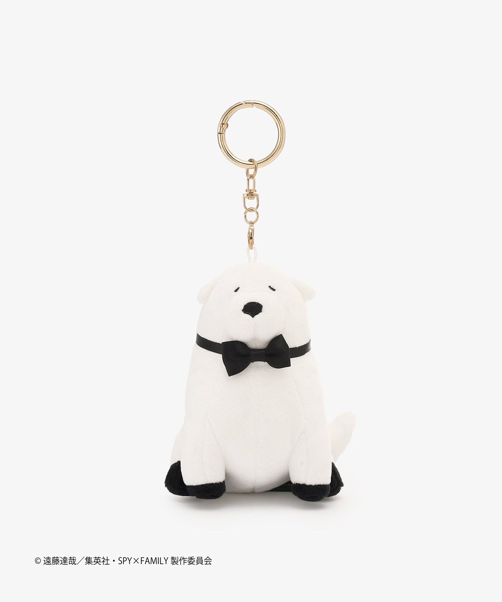 ファッション小物 マスコットキーチェーン/SPY×FAMILY