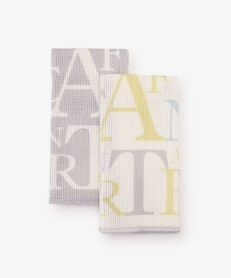 ロゴ抗菌ディッシュクロス