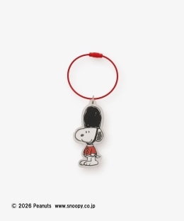 アクリルチャーム/ロンドン/PEANUTS