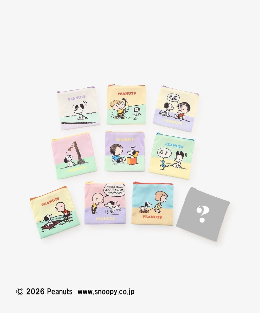 ポーチ・ティッシュポーチ・巾着 シークレットナイロンポーチ/PEANUTS