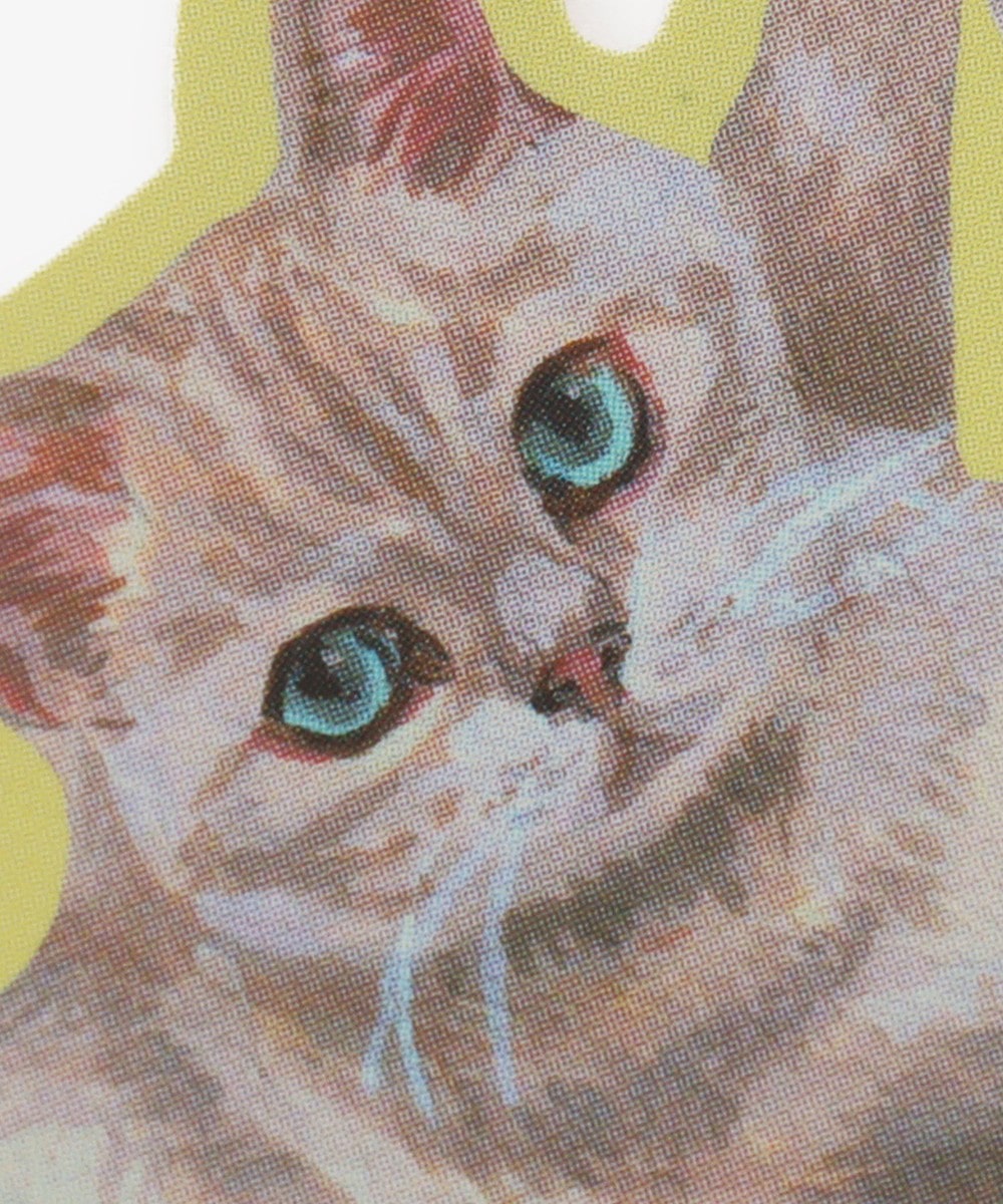 ステッカー/スクラッチ/Cat's NapTime | アフタヌーンティー公式通販サイト