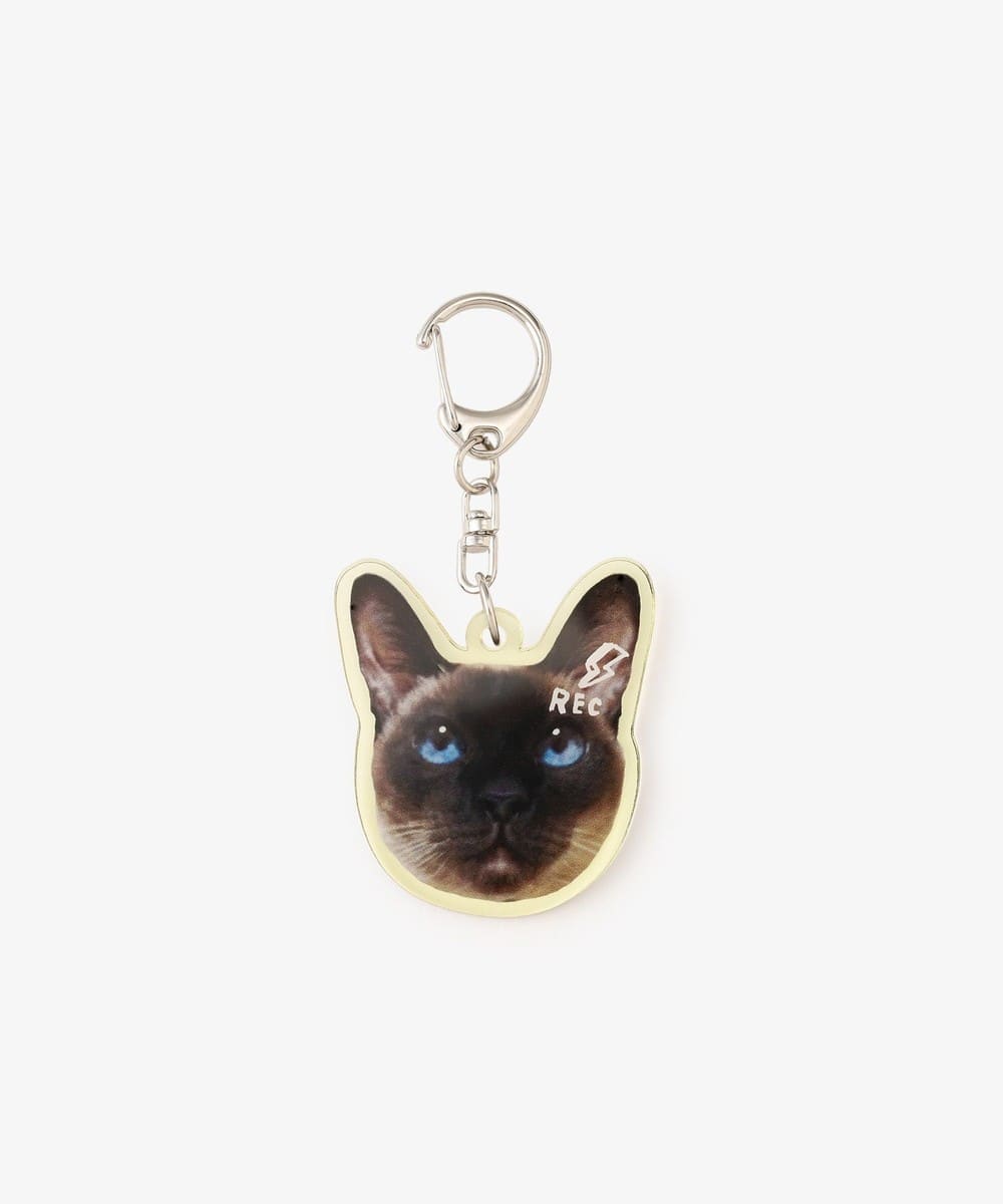 ファッション小物 アクリルチャーム/REC/Cat's NapTime