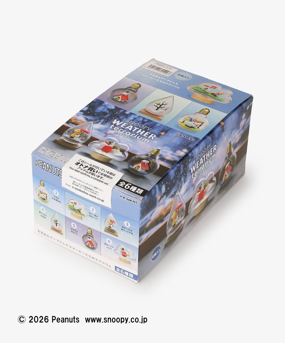 花瓶・インテリア小物・観葉植物 【オンラインストア限定】SNOOPY WEATHER terrarium コンプリートボックス/PEANUTS