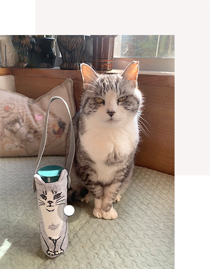 Cat S Naptime 21 アフタヌーンティー リビング公式通販サイト