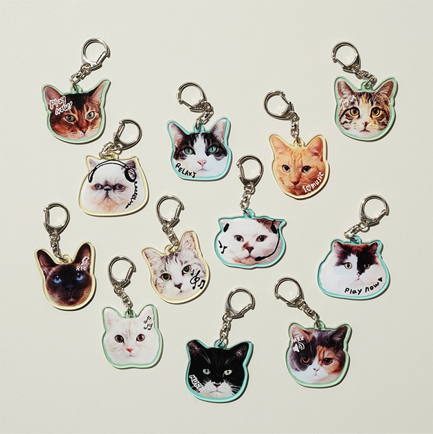 Cat's NapTime | アフタヌーンティー公式通販サイト