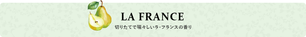 LA FRANCE