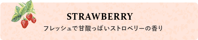 STRAWBERRY フレッシュで甘酸っぱいストロベリーの香り