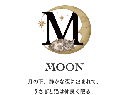 月の下、静かな夜に包まれて。うさぎと猫は仲良く眠る。
