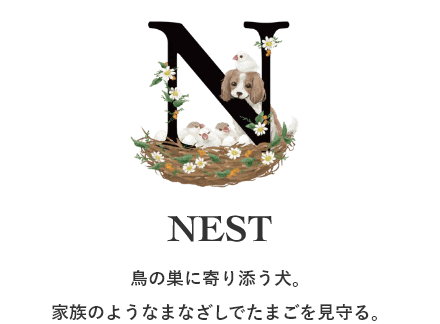 鳥の巣に寄り添う犬。家族のようなまなざしでたまごを見守る。