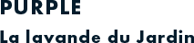 PURPLE La lavande du Jardin