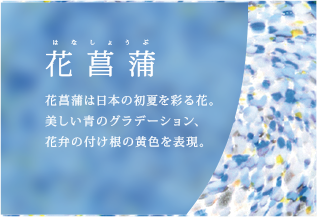 花菖蒲