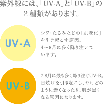 紫外線には、「UV-A」と「UV-B」の2種類があります。UV-A:シワ・たるみなどの「肌老化」を引き起こす原因。4～8月に多く降り注いでいます。UV-B:7.8月に最も多く降り注ぐUV-B。日焼けを引き起こし、やけどのように赤くなったり、肌が黒くなる原因になります。