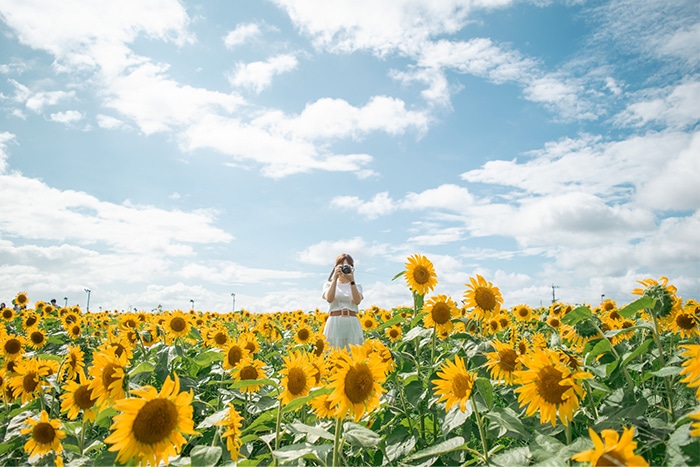 @mihoko.shinmura 鹿児島空港付近