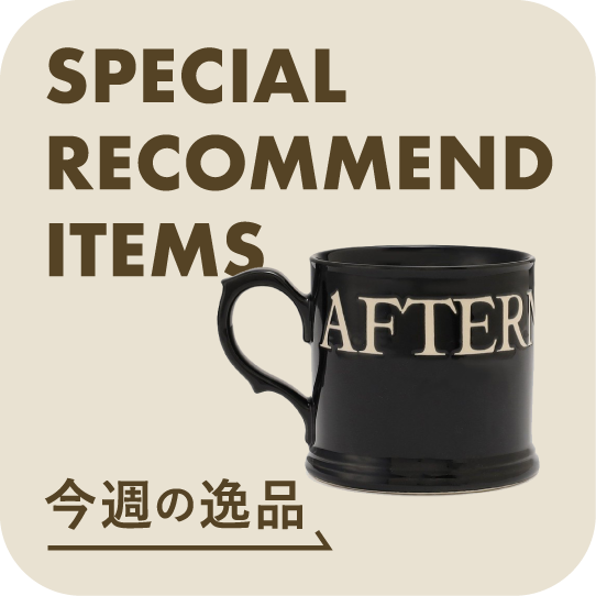 special recommend items
