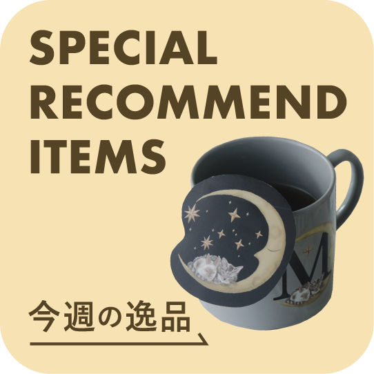 special recommend items