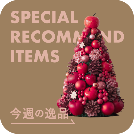 special recommend items
