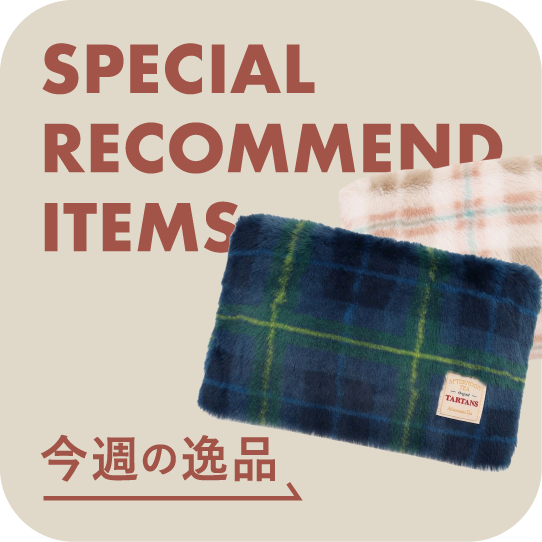 special recommend items