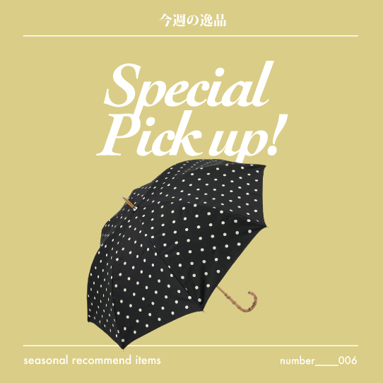 special recommend items