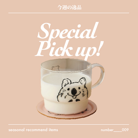 special recommend items